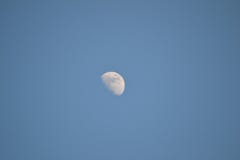 Luna fotografía de archivo Luna fotografía de archivo