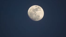 Luna Llena para arriba Luna Llena para arriba