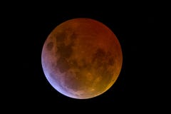 Lunar Eclipse Stock Photography Lunar Eclipse Stock Photography