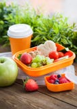 Lunch box with sandwich and fruits royalty free stock photos Lunch box with sandwich and fruits royalty free stock photos