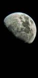 Lune photos stock Lune photos stock