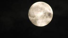 Lune avec des nuages dans le ciel nocturne Concept d'un th?me et d'un myst?re fantasmagoriques Ciel nocturne mystérieux avec la l banque de vidéos Lune avec des nuages dans le ciel nocturne Concept d'un th?me et d'un myst?re fantasmagoriques Ciel nocturne mystérieux avec la l banque de vidéos