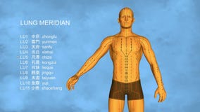 Lung Meridian