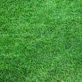Lush green grass Stock Image Lush green grass Stock Image