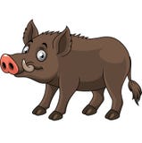 Lustiger wilder Eber der Karikatur vektor abbildung Lustiger wilder Eber der Karikatur vektor abbildung