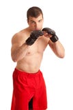 Lutador de MMA imagem de stock Lutador de MMA imagem de stock