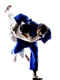 Lutadores de Judokas que lutam silhuetas dos homens Foto de Stock Lutadores de Judokas que lutam silhuetas dos homens Foto de Stock