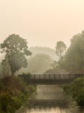 Luz de la mañana que birla la niebla lejos fotos de archivo Luz de la mañana que birla la niebla lejos fotos de archivo
