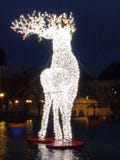 Luz de la Navidad mágica con un ciervo imagen de archivo libre de regalías Luz de la Navidad mágica con un ciervo imagen de archivo libre de regalías