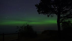 Luzes polares e árvores do aurora borealis fotografia de stock Luzes polares e árvores do aurora borealis fotografia de stock