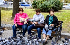 Lviv, Ουκρανία - 29 Σεπτεμβρίου 2016: Γυναίκες που κάθονται σε έναν πάγκο που ταΐζει ένα κοπάδι των περιστεριών στοκ εικόνες Lviv, Ουκρανία - 29 Σεπτεμβρίου 2016: Γυναίκες που κάθονται σε έναν πάγκο που ταΐζει ένα κοπάδι των περιστεριών στοκ εικόνες