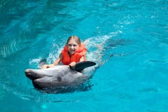 Lycklig liten flicka som rider delfin i simbassäng royaltyfri foto Lycklig liten flicka som rider delfin i simbassäng royaltyfri foto