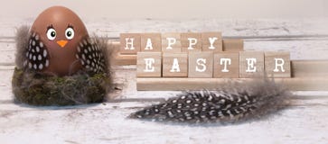 Lyckliga easter, rolig easter fågelunge arkivbild Lyckliga easter, rolig easter fågelunge arkivbild