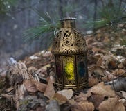 Lykta med magiskt ljus i skogen 2 arkivfoto Lykta med magiskt ljus i skogen 2 arkivfoto