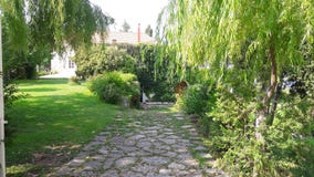 lyx royaltyfria bilder lyx royaltyfria bilder