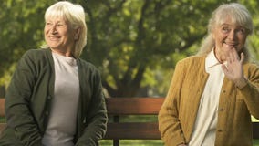 Lächelnde ältere Hände wellenartig bewegende und draußen flirtende Damen, sitzende Bank, Sympathie stock footage Lächelnde ältere Hände wellenartig bewegende und draußen flirtende Damen, sitzende Bank, Sympathie stock footage