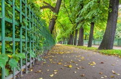 Lägre sikt av höstsommarträdgården i St Petersburg royaltyfri foto Lägre sikt av höstsommarträdgården i St Petersburg royaltyfri foto