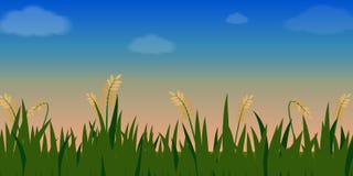 Ländlicher Sommer des Reisfeldes und Himmellandschaft lizenzfreie abbildung Ländlicher Sommer des Reisfeldes und Himmellandschaft lizenzfreie abbildung