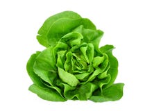 Légume ou salade vert de laitue de beurre d'isolement sur le blanc photographie stock libre de droits Légume ou salade vert de laitue de beurre d'isolement sur le blanc photographie stock libre de droits