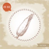 Légume tiré par la main de maïs de style de croquis Épi de maïs avec des feuilles Images stock Légume tiré par la main de maïs de style de croquis Épi de maïs avec des feuilles Images stock