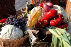 Légumes d'automne Photos libres de droits Légumes d'automne Photos libres de droits