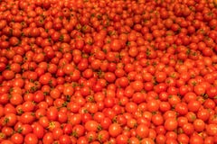 Légumes naturels sur le compteur du marché Cherry Small Tomatoes photo libre de droits Légumes naturels sur le compteur du marché Cherry Small Tomatoes photo libre de droits