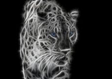 léopard sauvage de fractale blanc noir avec des yeux bleus photographie stock libre de droits léopard sauvage de fractale blanc noir avec des yeux bleus photographie stock libre de droits