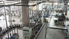 Línea embotelladoa y de aislamiento fábrica del transportador del lagar almacen de video Línea embotelladoa y de aislamiento fábrica del transportador del lagar almacen de video