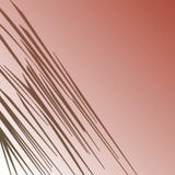 LÖS TIG LINJER ETNISKA linjer lös blå sebra vektor illustrationer LÖS TIG LINJER ETNISKA linjer lös blå sebra vektor illustrationer