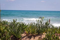L?st Cretan hav f?r Figdety sommar arkivfoton L?st Cretan hav f?r Figdety sommar arkivfoton