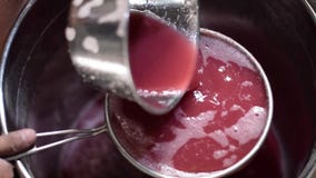 Método Primitivo Crudo Tradicional De Bignay De Vino Casero Que Procesa El Jugo Que Es Filtrado Con El Tamiz Que Separa La Aleta Almacen De Video Vídeo De Dulce Fresco 121474901