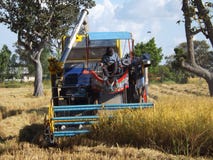 Maaimachinemachine om rijst het Thaise werken te oogsten royalty-vrije stock afbeelding Maaimachinemachine om rijst het Thaise werken te oogsten royalty-vrije stock afbeelding