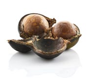 Macadamia dokrętki na białym tle zdjęcie royalty free Macadamia dokrętki na białym tle zdjęcie royalty free