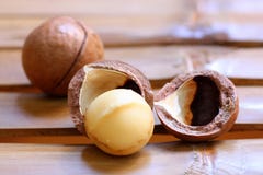 Macadamia Nuts Royalty Free Stock Image