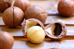 Macadamia Nuts Royalty Free Stock Photography