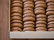 Macarons de chocolat dans la boîte Image stock Macarons de chocolat dans la boîte Image stock