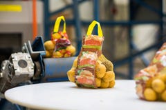 Machinery in fruit and vegetable wholesale stock image Machinery in fruit and vegetable wholesale stock image