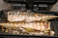 Mackerel is roasted on an electric grill. Grilled fish with lemon and salad royalty free stock image Mackerel is roasted on an electric grill. Grilled fish with lemon and salad royalty free stock image