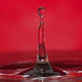 Macro colpo delle gocce di acqua immagine stock Macro colpo delle gocce di acqua immagine stock