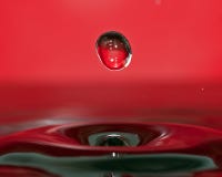 Macro colpo delle gocce di acqua immagine stock Macro colpo delle gocce di acqua immagine stock