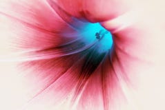 Macro de fleur bleue photo stock Macro de fleur bleue photo stock