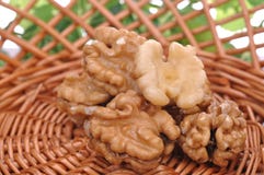 Macro del nocciolo della noce Fotografia Stock Macro del nocciolo della noce Fotografia Stock