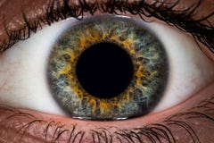  Macro do olho fotografia de stock royalty free