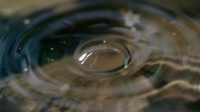 Macro en gros plan d'une gouttelette de baisse de l'eau photographie stock Macro en gros plan d'une gouttelette de baisse de l'eau photographie stock