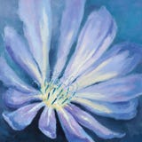 Macro endive bleue. Photo stock Macro endive bleue. Photo stock
