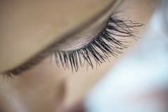 Macro image of long curly eyelashes. royalty free stock photo Macro image of long curly eyelashes. royalty free stock photo