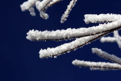 Macro Of Frozen Fog Stock Photos Macro Of Frozen Fog Stock Photos
