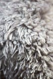 Macro pelliccia del tappeto immagine stock Macro pelliccia del tappeto immagine stock