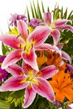 Macro Shot Of Beautiful Flower Royalty Free Stock Images