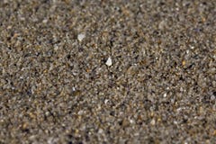 Macro shot of wet sand on the beach. Shallow depth of field Royalty Free Stock Image Macro shot of wet sand on the beach. Shallow depth of field Royalty Free Stock Image